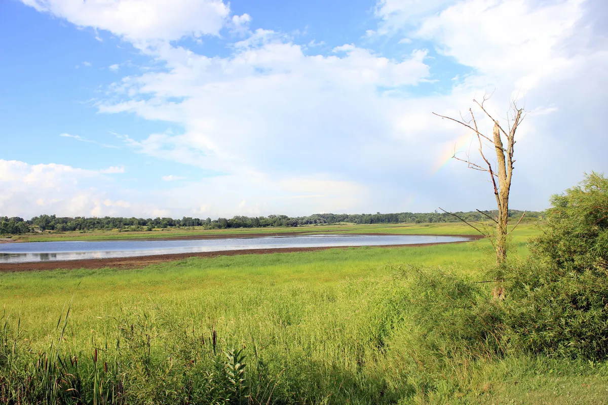 A pond at Richard Bong State Recreation Area, photographed in July 2013.