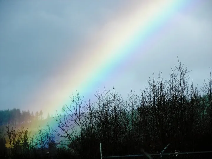A rainbow over Paddock Lake, photographed in May 2010.